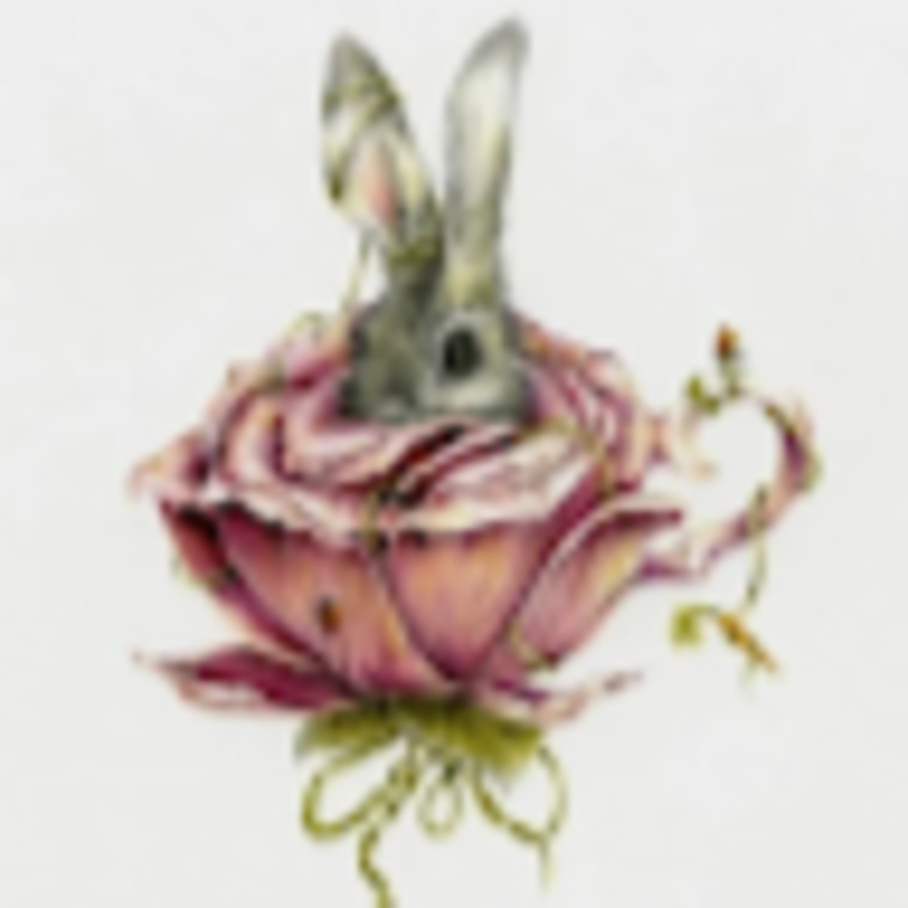 Meet your Posher, Cynthia